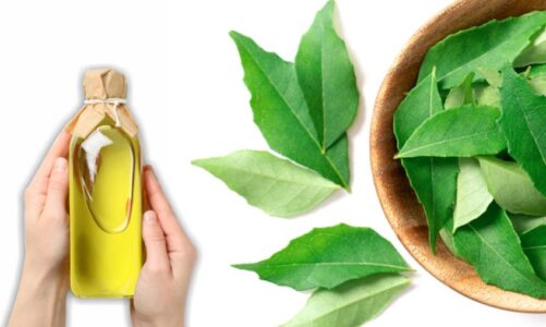 7 Benefits of Curry Leaf Oil for Hair Growth