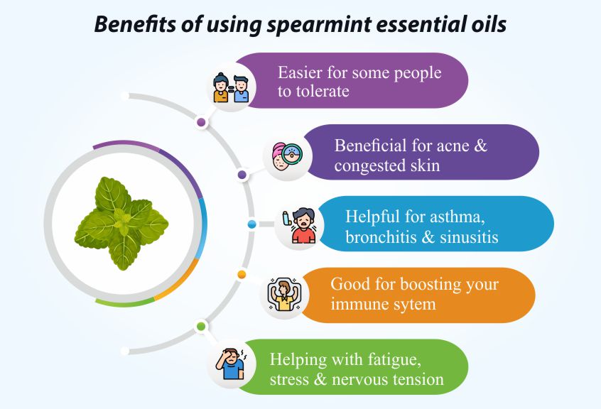 Spearmint essential oil